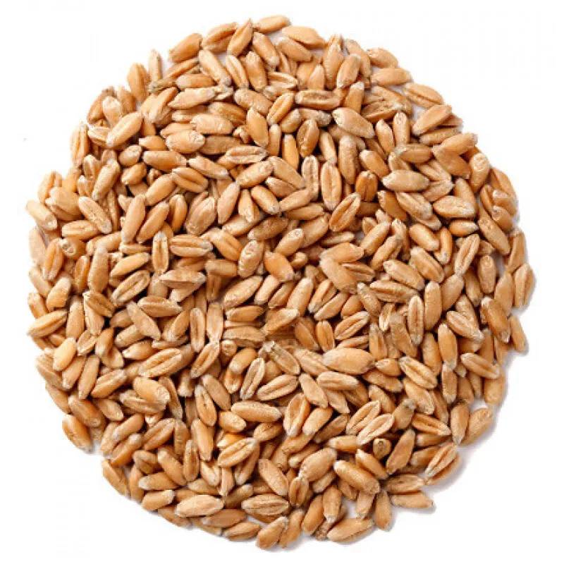 реализуем Пшеницу в Уфе и Республике Башкортостан