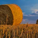 В разгар уборочной кампании на счету башкирских аграриев 1, 53 млн тонн зерна