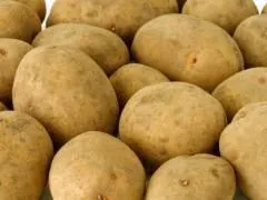 фотография продукта  из Беларуси Семенной картофель